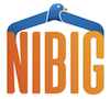 Nibig logo